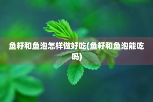 鱼籽和鱼泡怎样做好吃(鱼籽和鱼泡能吃吗)