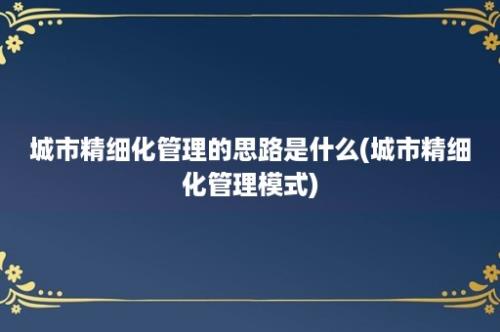 城市精细化管理的思路是什么(城市精细化管理模式)