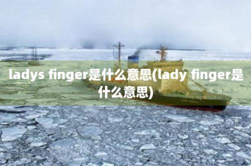 ladys finger是什么意思(lady finger是什么意思)