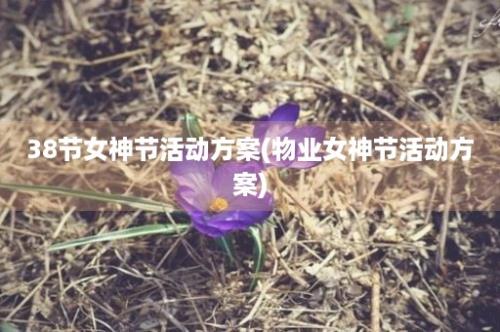 38节女神节活动方案(物业女神节活动方案)