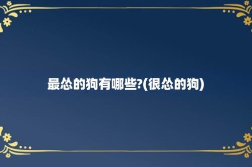 最怂的狗有哪些?(很怂的狗)