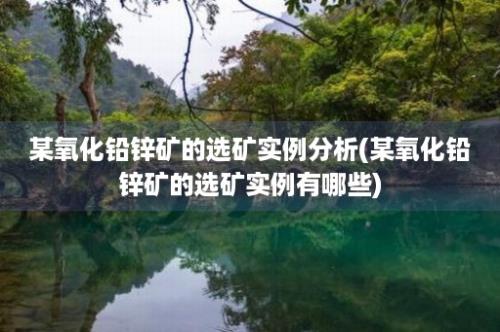 某氧化铅锌矿的选矿实例分析(某氧化铅锌矿的选矿实例有哪些)