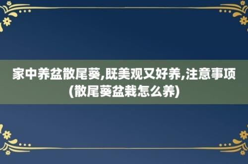 家中养盆散尾葵,既美观又好养,注意事项(散尾葵盆栽怎么养)