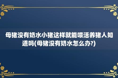 母猪没有奶水小猪这样就能喂活养猪人知道吗(母猪没有奶水怎么办?)