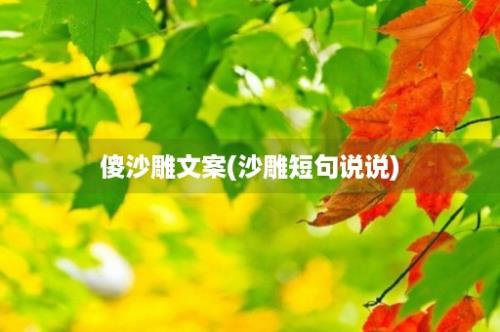 傻沙雕文案(沙雕短句说说)