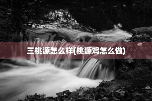 三桃源怎么样(桃源鸡怎么做)