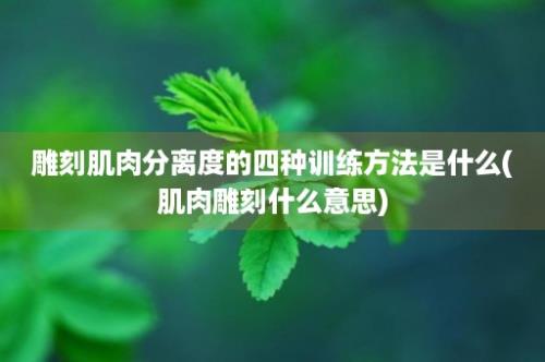 雕刻肌肉分离度的四种训练方法是什么(肌肉雕刻什么意思)