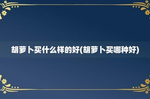 胡萝卜买什么样的好(胡萝卜买哪种好)