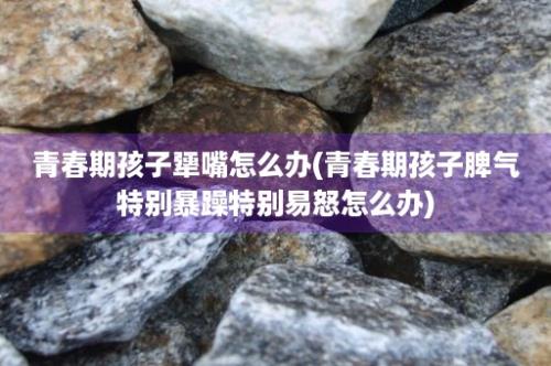 青春期孩子犟嘴怎么办(青春期孩子脾气特别暴躁特别易怒怎么办)