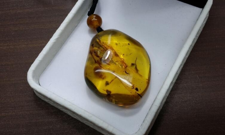 琥珀形成的四个条件是什么