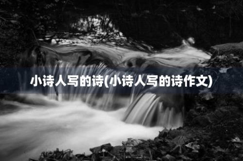 小诗人写的诗(小诗人写的诗作文)