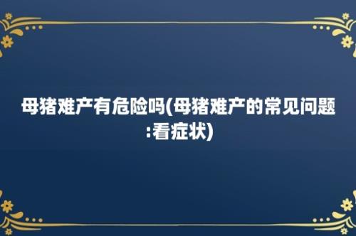 母猪难产有危险吗(母猪难产的常见问题:看症状)