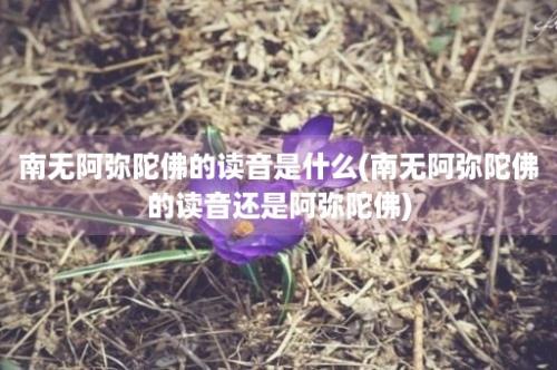 南无阿弥陀佛的读音是什么(南无阿弥陀佛的读音还是阿弥陀佛)