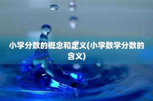 小学分数的概念和定义(小学数学分数的含义)