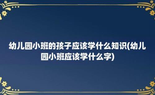 幼儿园小班的孩子应该学什么知识(幼儿园小班应该学什么字)