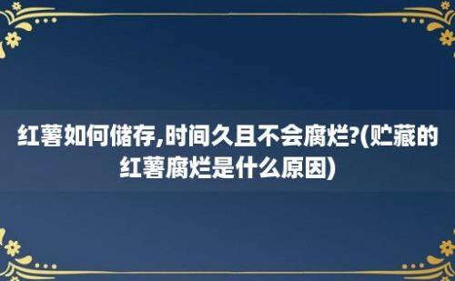 红薯如何储存,时间久且不会腐烂?(贮藏的红薯腐烂是什么原因)