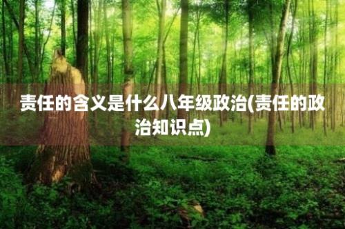 责任的含义是什么八年级政治(责任的政治知识点)