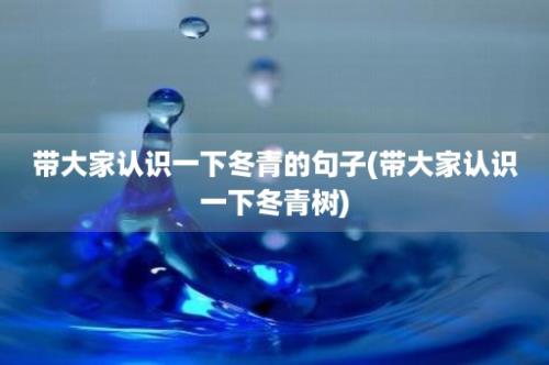 带大家认识一下冬青的句子(带大家认识一下冬青树)