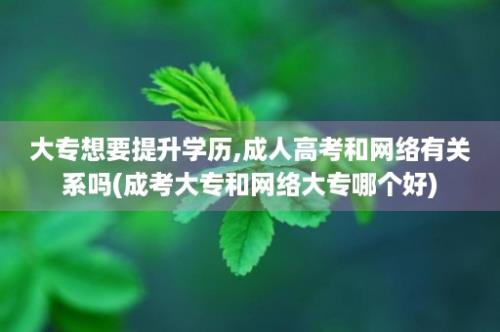 大专想要提升学历,成人高考和网络有关系吗(成考大专和网络大专哪个好)