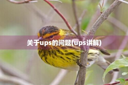 关于ups的问题(ups讲解)