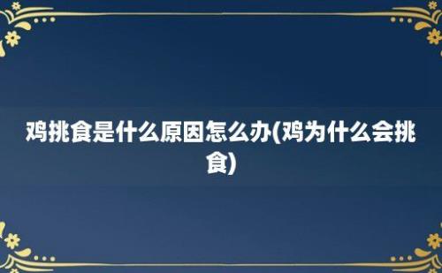 鸡挑食是什么原因怎么办(鸡为什么会挑食)