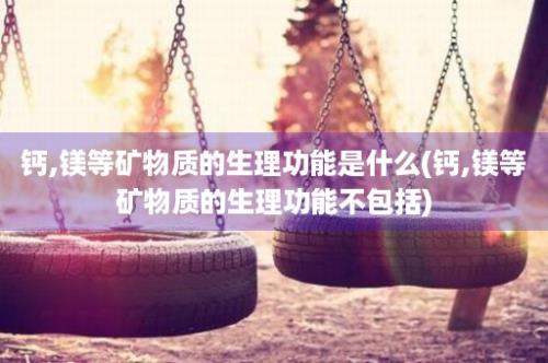 钙,镁等矿物质的生理功能是什么(钙,镁等矿物质的生理功能不包括)