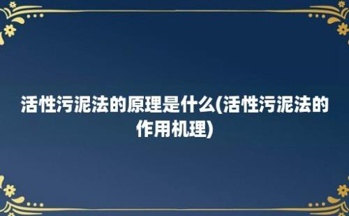 活性污泥法的原理是什么(活性污泥法的作用机理)