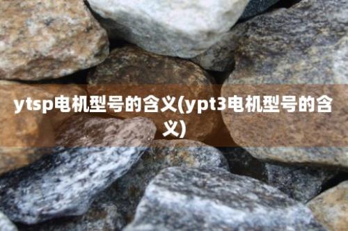 ytsp电机型号的含义(ypt3电机型号的含义)