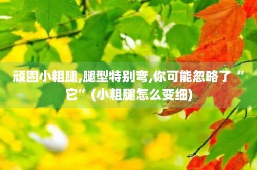 顽固小粗腿,腿型特别弯,你可能忽略了“它”(小粗腿怎么变细)