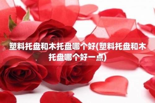 塑料托盘和木托盘哪个好(塑料托盘和木托盘哪个好一点)