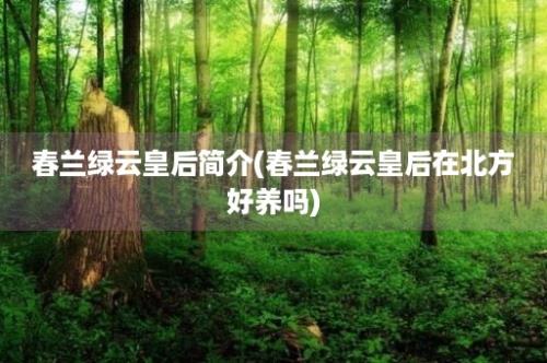 春兰绿云皇后简介(春兰绿云皇后在北方好养吗)