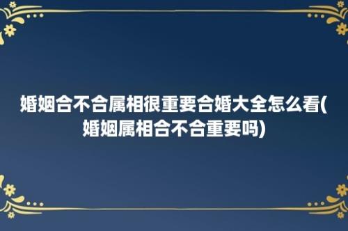 婚姻合不合属相很重要合婚大全怎么看(婚姻属相合不合重要吗)