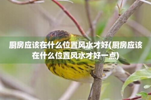 厨房应该在什么位置风水才好(厨房应该在什么位置风水才好一点)