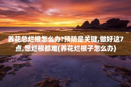 养花总烂根怎么办?预防是关键,做好这7点,想烂根都难(养花烂根子怎么办)