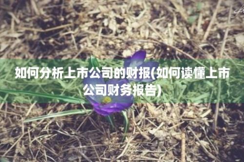 如何分析上市公司的财报(如何读懂上市公司财务报告)