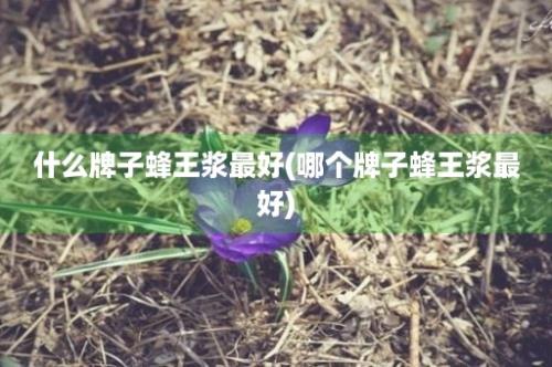 什么牌子蜂王浆最好(哪个牌子蜂王浆最好)