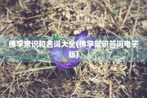 佛学常识和名词大全(佛学常识答问电子版)