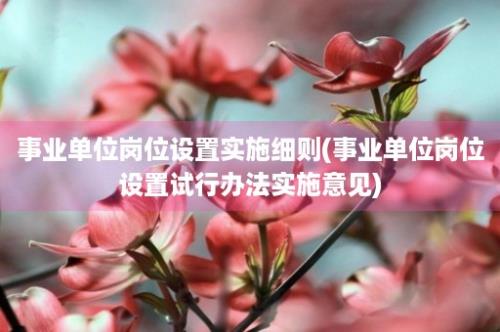 事业单位岗位设置实施细则(事业单位岗位设置试行办法实施意见)