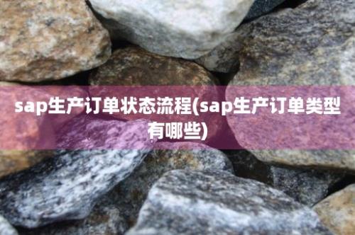 sap生产订单状态流程(sap生产订单类型有哪些)