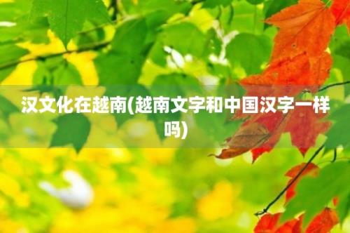 汉文化在越南(越南文字和中国汉字一样吗)