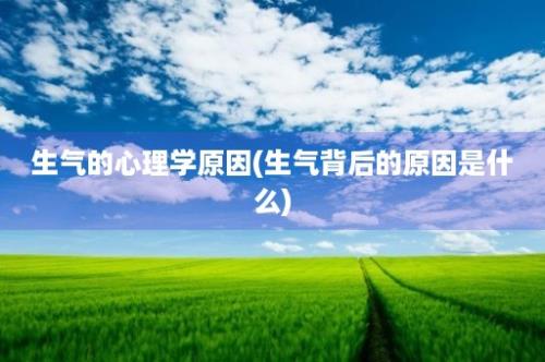 生气的心理学原因(生气背后的原因是什么)