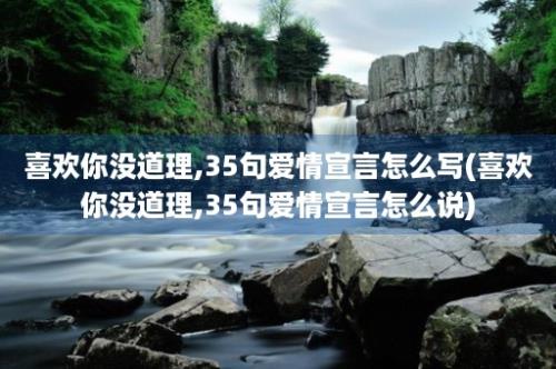 喜欢你没道理,35句爱情宣言怎么写(喜欢你没道理,35句爱情宣言怎么说)