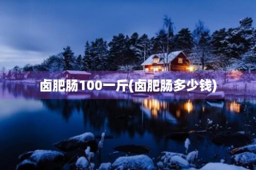 卤肥肠100一斤(卤肥肠多少钱)