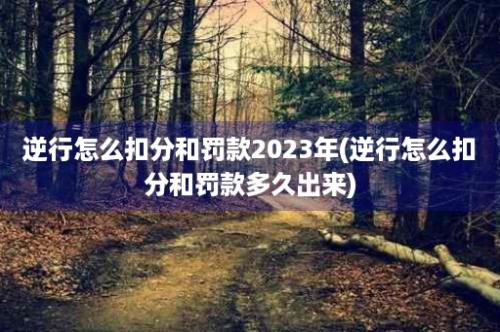 逆行怎么扣分和罚款2023年(逆行怎么扣分和罚款多久出来)