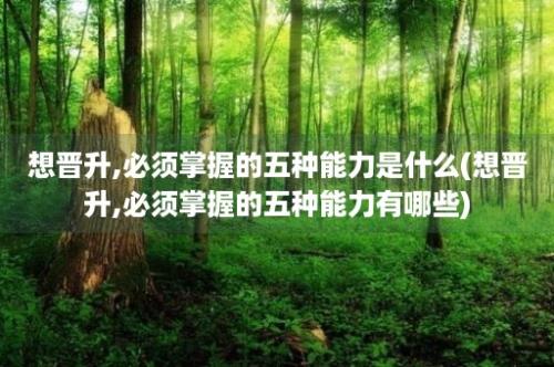 想晋升,必须掌握的五种能力是什么(想晋升,必须掌握的五种能力有哪些)