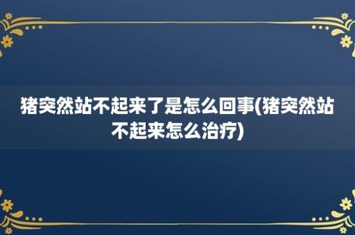 猪突然站不起来了是怎么回事(猪突然站不起来怎么治疗)