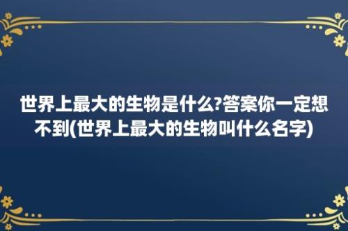 世界上最大的生物是什么?答案你一定想不到(世界上最大的生物叫什么名字)