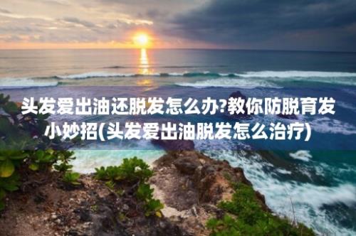 头发爱出油还脱发怎么办?教你防脱育发小妙招(头发爱出油脱发怎么治疗)