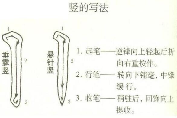 毛笔书法入门教程