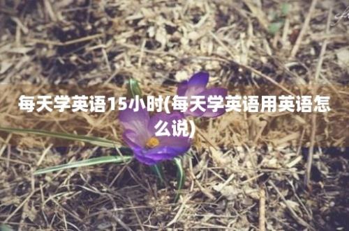 每天学英语15小时(每天学英语用英语怎么说)